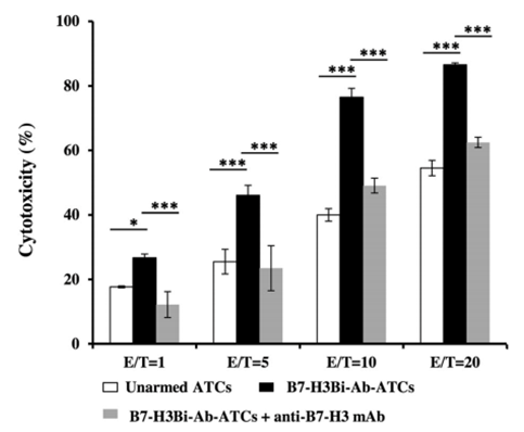 Next-IO™ Anti-B7-H3 × CD3 Bispecific Antibody Program