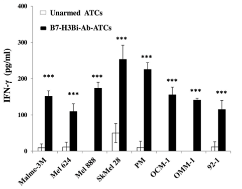 Next-IO™ Anti-B7-H3 × CD3 Bispecific Antibody Program