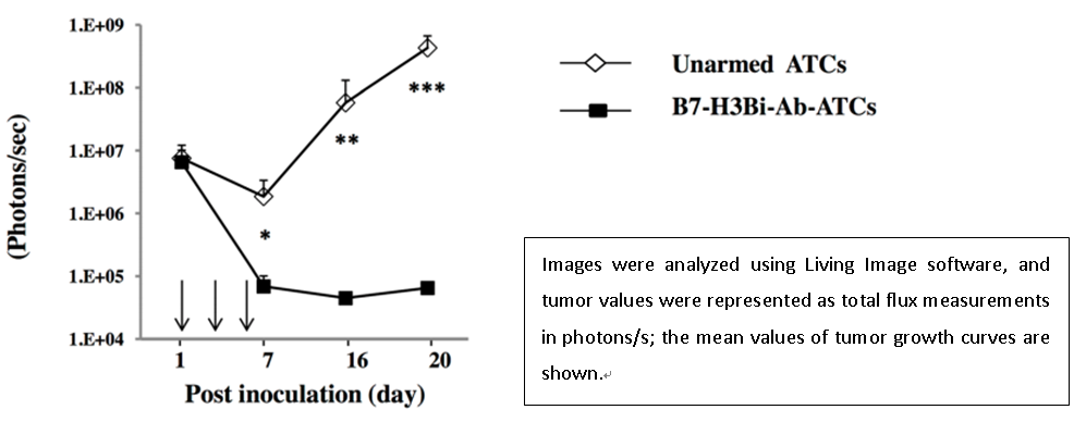 Next-IO™ Anti-B7-H3 × CD3 Bispecific Antibody Program