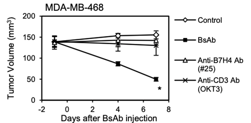 Next-IO™ Anti-B7-H4 × CD3 Bispecific Antibody Program