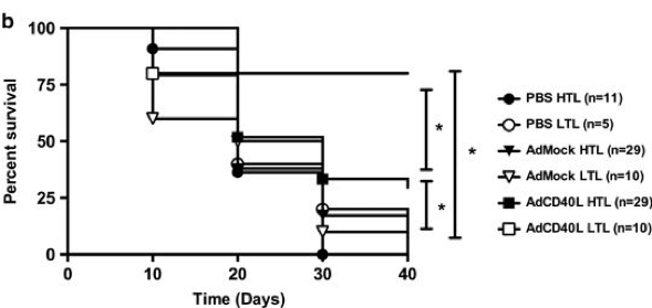 Fig.3 The effect of AdCD40L therapy on subcutaneous and orthotopic tumors. (Liljenfeldt, et al., 2014)