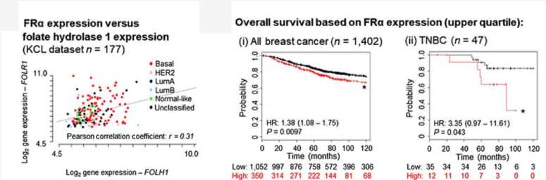 Basal-like/TNBC is associated with upregulated FRα gene expression. (Anthony, et al., 2018)