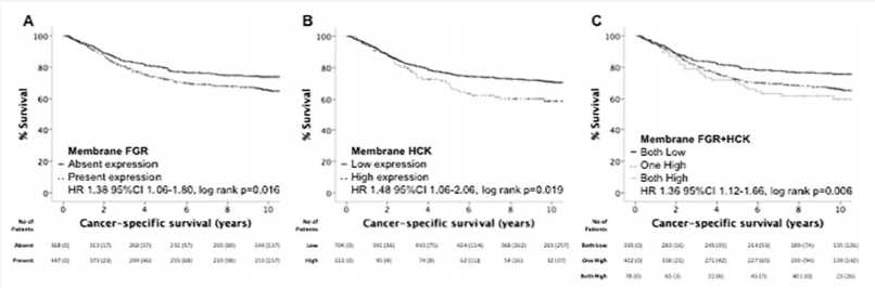 Activated FGR and HCK associate with poor prognosis in patients undergoing potentially curative resection of colorectal cancer. (Roseweir, et al., 2019)
