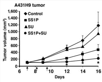 Src family inhibitor enhanced SS1P toxicity in mouse xenograft model. (Liu, et al., 2014)