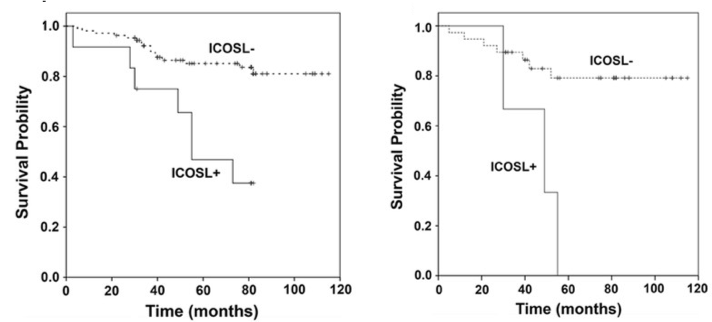 Fig.1 Kaplan–Meier curves for the overall survival of breast cancer patients in relation to ICOSL expression. (Wang, et al., 2019)