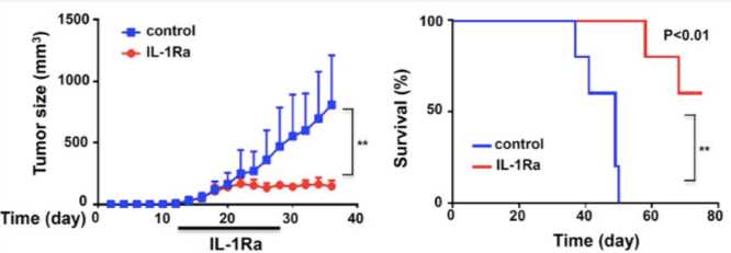 Growth curves and Kaplan–Meier survival curves of mice treated with or without IL-1Ra. (Guo, et al., 2016)