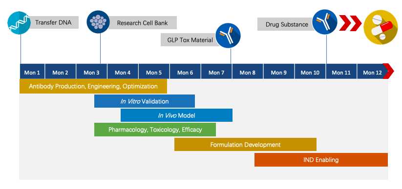 Project pipeline management of therapeutic monoclonal antibody. (Creative Biolabs Original)
