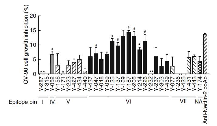 Fig.3 Anti-Nectin-2 mAbs inhibit the proliferation of OV-90 cells. (Oshima. et al, 2013)