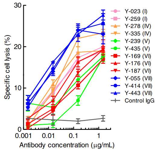 Fig.4 Anti-Nectin-2 mAbs exhibit ADCC activities against OV-90 cells. (Oshima. et al, 2013)