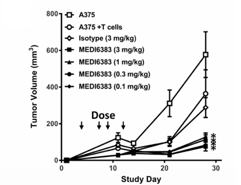 Fig.1 The effect of MEDI6383 fusion protein (OX40L-Fc- TRAF2) therapy on human melanoma tumor (cell line A375). (Oberst, et al., 2018)