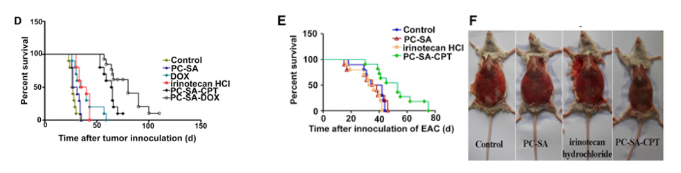Anti-Phosphatidylserine Monoclonal Antibody Program