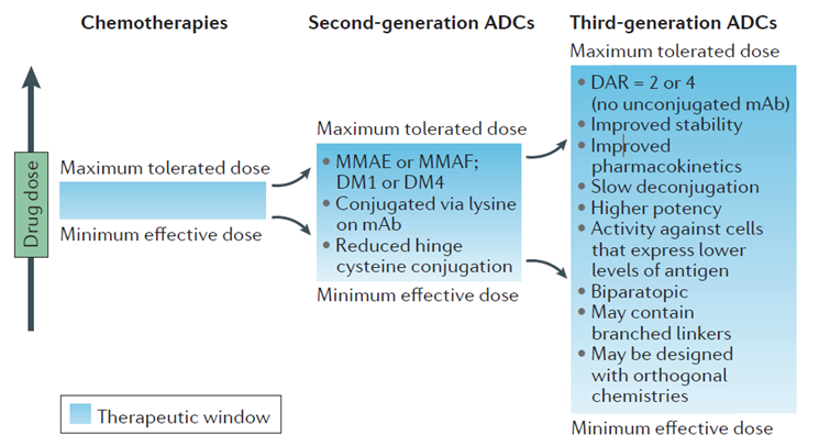 Third-generation ADCs are designed to expand the therapeutic window.