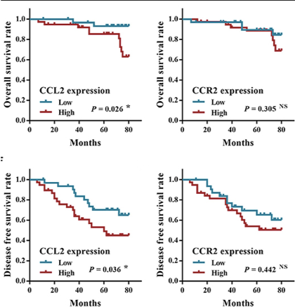 The overall survival rate and the disease free survival rate of SACC patients with different expression level of CCL2 and CCR2. (Yang, et al., 2019)