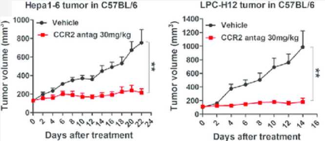 Tumour volumes of Hepa1-6 and LPC-H12 tumor in C57BL/6 mice were measured in indicated treatment groups. (Li, et al., 2015)