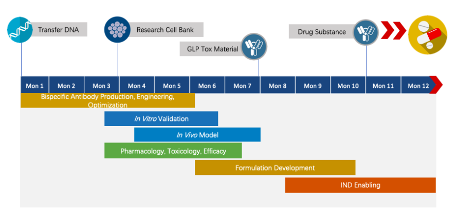 Fig.1 The timeline of Next-IOᵀᴹ programs. (Creative Biolabs Original)