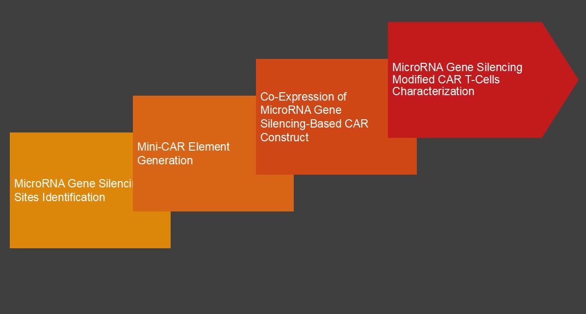 The Workflow of MicroRNA Gene Silencing-Based CAR T-Cell Development Platform