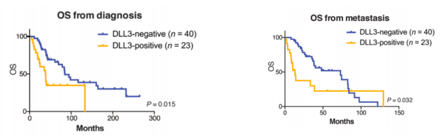 OS of patients with prostate cancer evaluated from the time of prostate cancer diagnosis and the time of metastasis. (Zhang, et al., 2017)