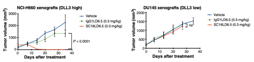 DU145 and NCI-H660 tumor volume measurements after dose treatments. (Zhang, et al., 2017)