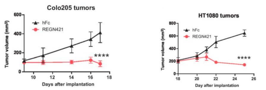 The average tumor volume line graphs of humanized Dll4 SCID mice bearing established HT1080 or Colo205 tumors over the courses of treatment. (Kuhnert, et al., 2015)