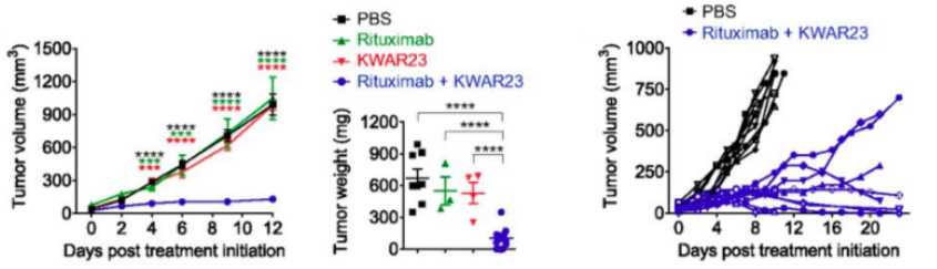 Tumor volume, weight and individual tumor growth curves in SRG mice treated with indicated treatments. (Ring, et al., 2017)