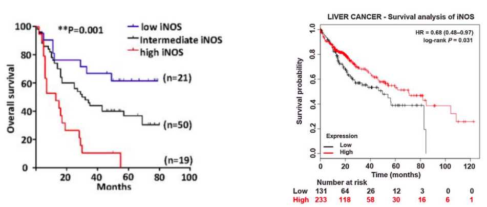 The Kaplan–Meier analysis (left) and the survival probability (right) (Wang, et al., 2018; Wang, et al., 2019)