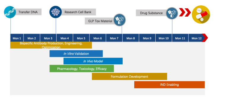 PD-1 x CTLA-4 Therapeutic Bispecific Antibody Program