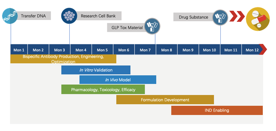 Next-IO™ PSCA x CD3 Therapeutic Bispecific Antibody Program