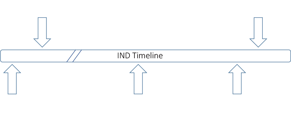 Timeline overview of post-IND submissions. (Creative Biolabs Original)