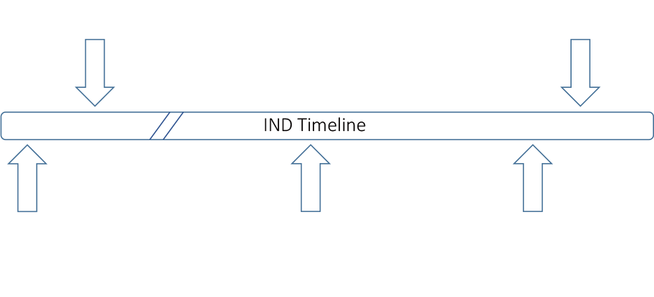 Timeline overview of post-IND submissions.