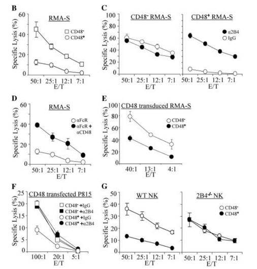 Fig.1 Ligation of 2B4 by CD48 expressed on tumor cells inhibits NK cytotoxicity. (Lee, et al., 2004)