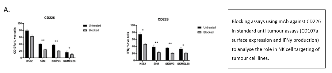 Anti-CD226 Therapeutic Monoclonal Antibody Program