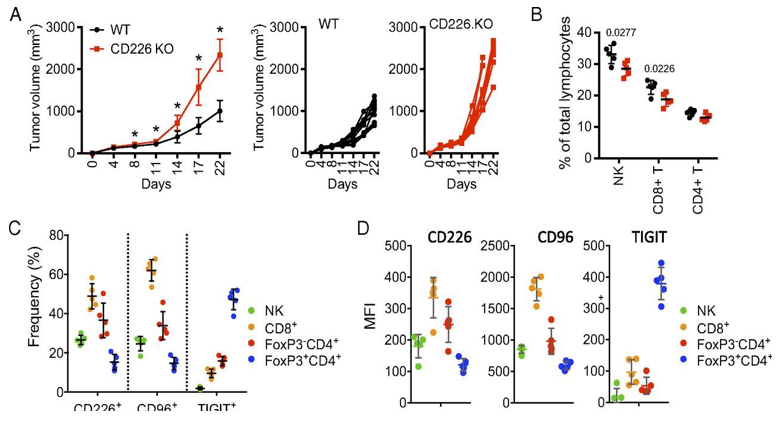 Anti-CD226 Therapeutic Monoclonal Antibody Program
