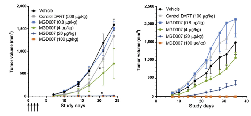 Anti-GPA33 × CD3 Bispecific DART Protein Program