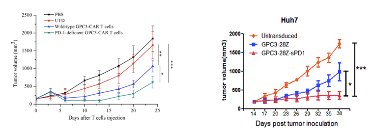 Anti-GPC3 Therapeutic CAR-T Cell Program
