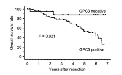 Anti-GPC3 Therapeutic Monoclonal Antibody Program