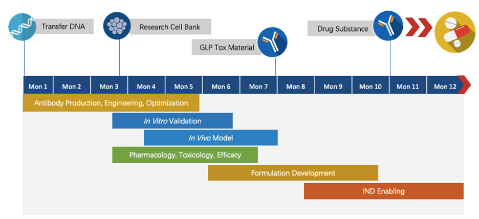 Next-IO™ Anti-LAG-3 Therapeutic Monoclonal Antibody Program
