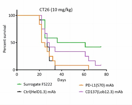 Anti-PD-L1 × 4-1BB Therapeutic Bispecific Antibody Program