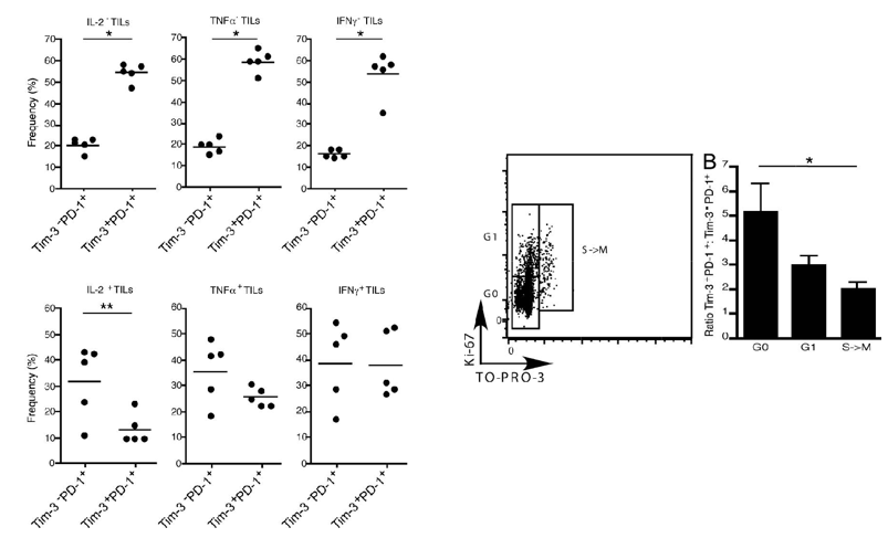Anti-PD1 × TIM3 Bispecific Antibody Program