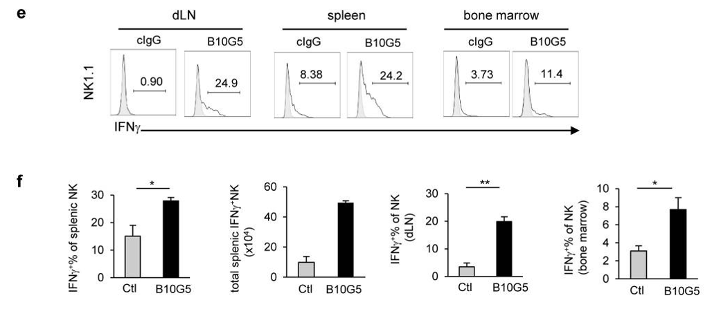 Fig.5 Anti-sMIC monoclonal antibody-B10G5 significantly enhance IFNγ production of NK cells. (Lu, et al., 2015)