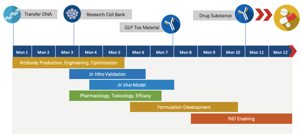 Anti-YTHDF1 Therapeutic Monoclonal Antibody Program