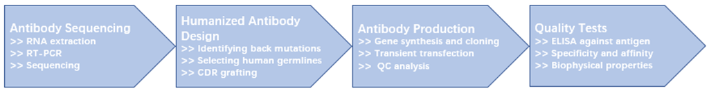 A humanized process in Creative Biolabs.