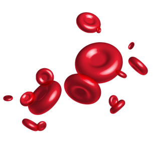 Red Blood Cell Substrate