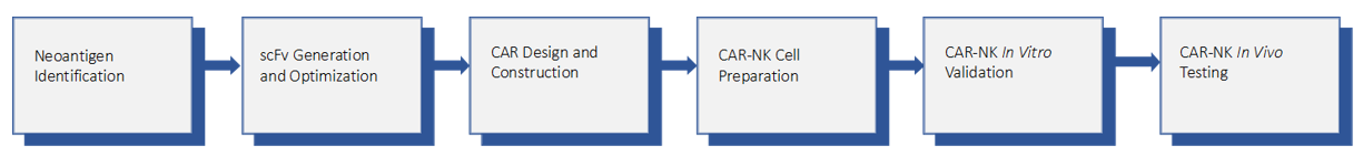 Fig.2 Comprehensive CAR-NK Design and Manufacturing Workflow. (Creative Biolabs Original)