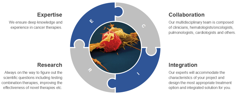 Chimeric Antigen Receptor (CAR) NK Cell Therapy 