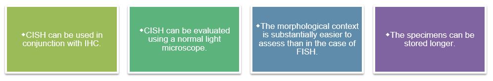 Fig.2 Dual-color CISH analysis results for breast cancer.