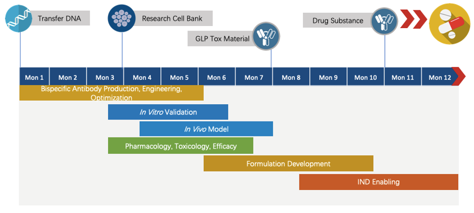 Next-IO™ CTLA-4 x OX40 Therapeutic Bispecific Antibody Program
