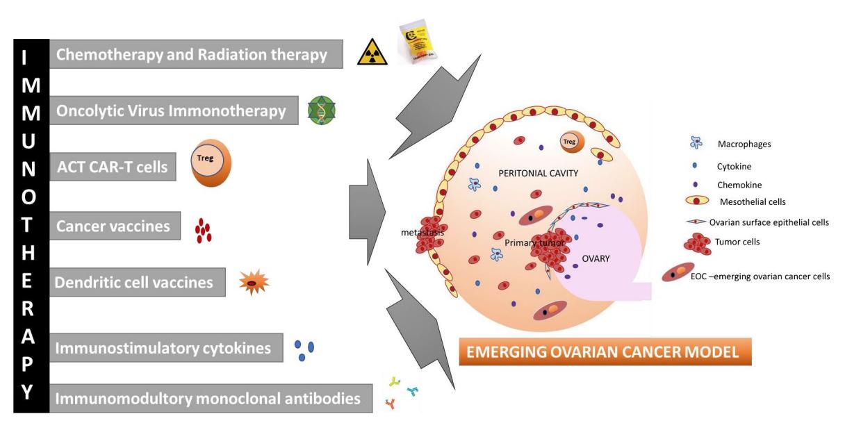 Fig.1 Emerging immunotherapies for ovarian cancer.