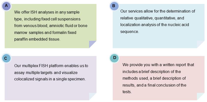 Our FISH Capabilities
