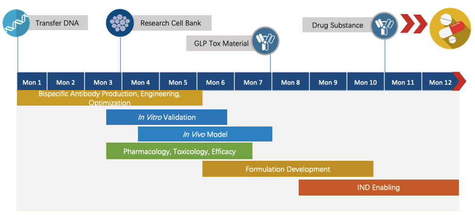 Next-IO™ GITR x CTLA-4 Therapeutic Bispecific Antibody Program
