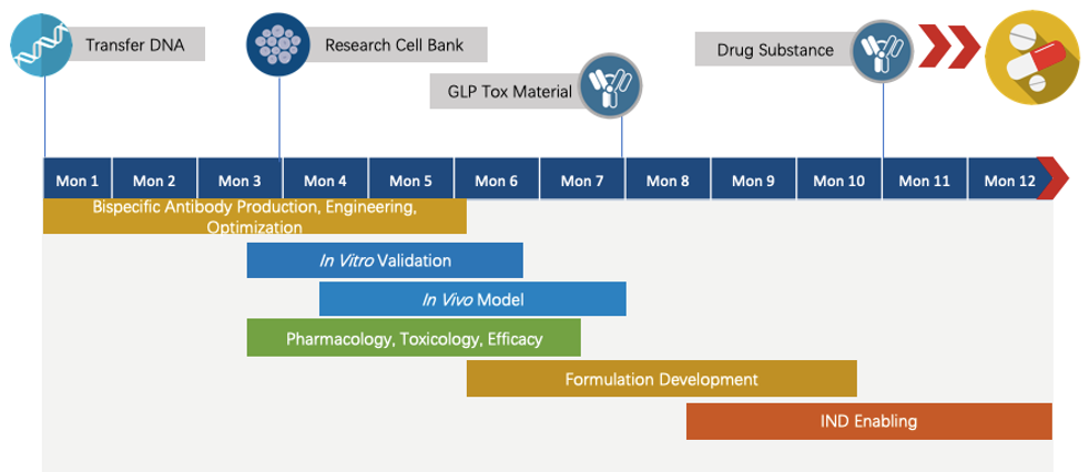 Next-IO™ HER2 x HER3 Therapeutic Bispecific Antibody Program